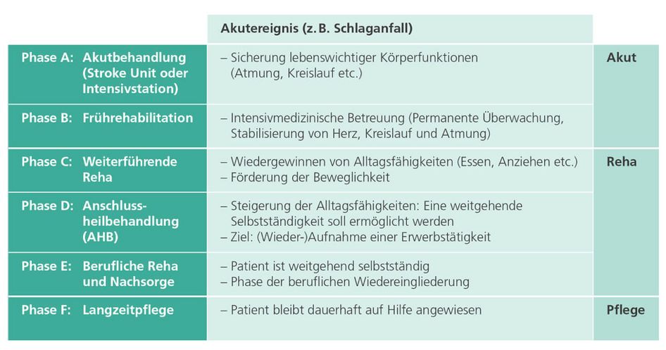 Neurologisches Phasenmodell Grafische Darstellung des neurologischen Phasenmodell